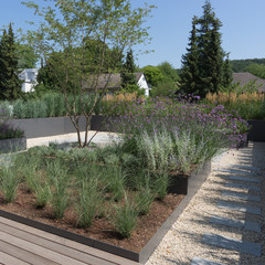 Moderne Gartengestaltung mit Gräsern und Stauden