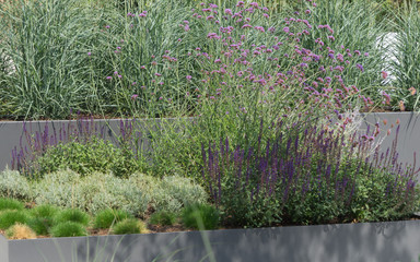 Moderne Gartengestaltung mit Gräsern und Stauden