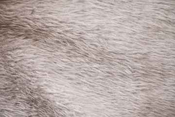 Gray faux fur