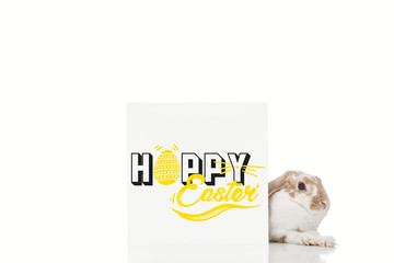 cute bunny near board with happy Easter illustration isolated on white