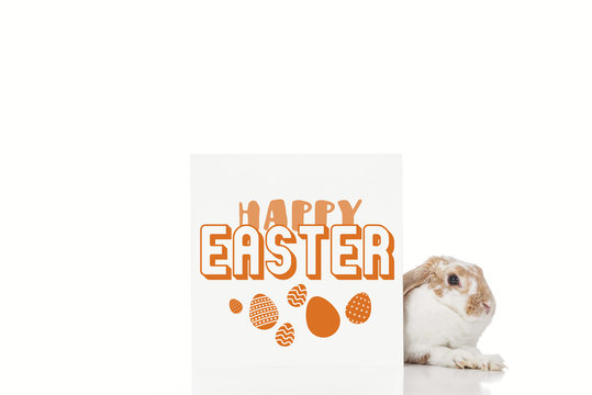 cute bunny near board with happy Easter and Easter eggs illustration isolated on white
