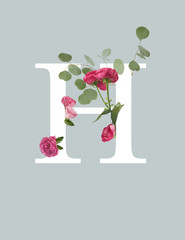 white letter H with pink roses and green leaves isolated on grey