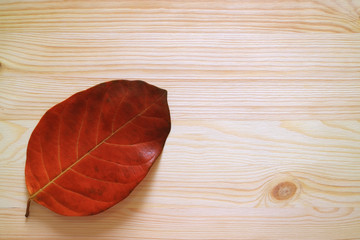 Red fallen leaf isolated on light brown wooden table