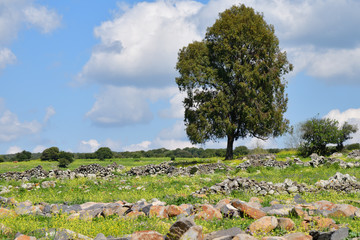 Golan Heights countryside, Israel