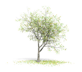 3D rendering - A tree of  plants  isolated over a white background use for natural poster or  wallpaper design, 3D illustration Design.