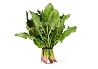 Spinach on white background