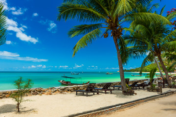 Obraz na płótnie Canvas Tropical resort with chaise longs under palms on sandy beach
