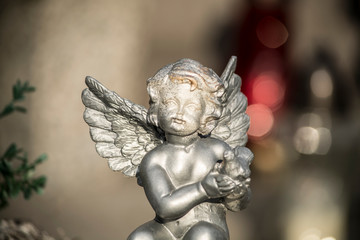 angel on a background
