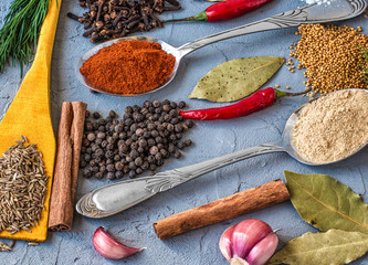 Different spices in wooden and metall spoons on grey background. Macro. Close up. Top view