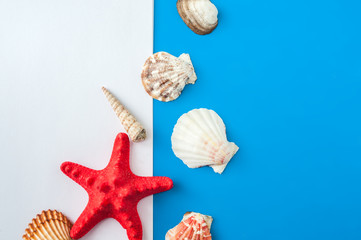 Sheet of white office paper on a blue background surrounded by seashells