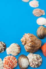 Sea shells frame on blue background