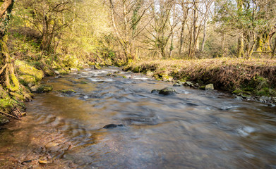 River in woodland