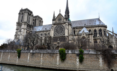 Obraz premium notre dame de paris