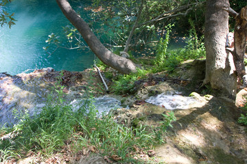 waterfall in the forest