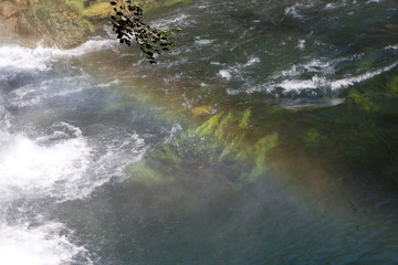 waterfall in the forest