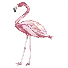 Fotobehang Pink flamingo watercolor illustration isolated on white background. © asetrova