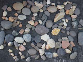 Fototapeta na wymiar Sea shells and stones as background