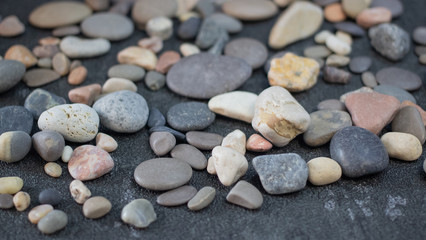 Sea shells and stones as background