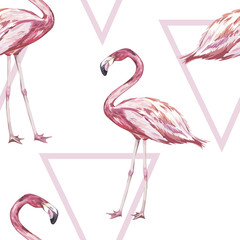 Seamless pattern with tropical Flamingo. Element for design of invitations, movie posters, fabrics and other objects. Isolated on white. Geometry set.