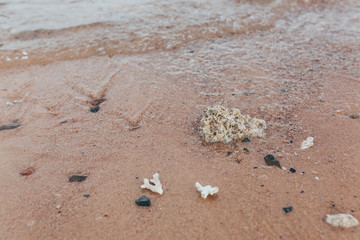 Pebble stones on the shore