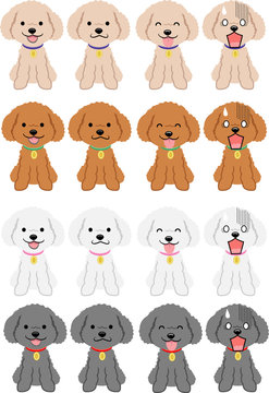 トイプードル Images Browse 5 615 Stock Photos Vectors And Video Adobe Stock
