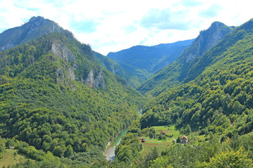 Naklejka na ściany i meble canyon of the river Tara in Montenegro