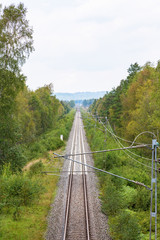 Fototapeta na wymiar Forest with a railway straight stretch