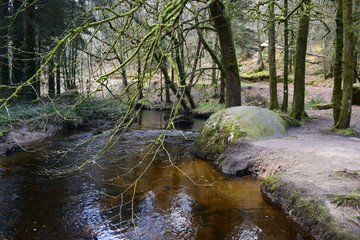 Foret de Huelgoat dans le Finist&egrave;re en Bretagne