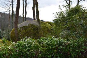 Foret de Huelgoat dans le Finistère en Bretagne
