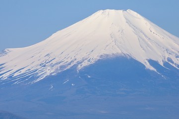 春の富士山眺望