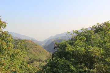 landscape with mountains and trees