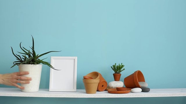 Modern room decoration with picture frame mockup. White shelf against pastel turquoise wall with pottery and succulent plant. Hand putting down potted succulent plant.