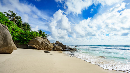 wild tropical beach with rocks,white sand,palms and turquoise water, seychelles