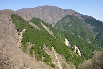 春頃の大室山