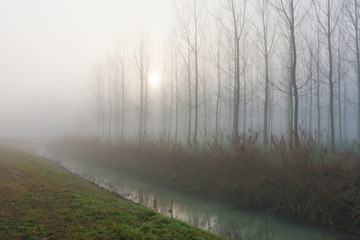 Natural park of the Sile river in Italy