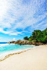 paradise tropical beach,palms,rocks,white sand,turquoise water, seychelles 3