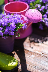 Gardening tools and spring flowers on the terrace in the garden © ZoomTeam