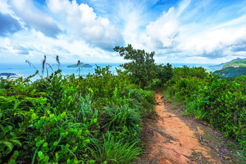 Fototapeta na wymiar Hiking the copolia trail,granite rocks in the jungle on mahé, seychelles 2