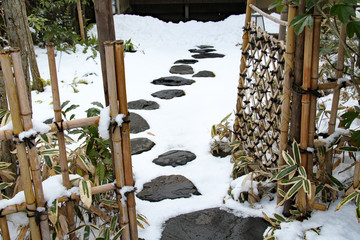 Japanese garden