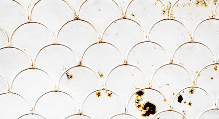 fish scale pattern on white iron grate © nucia