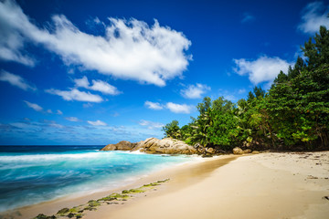 beautiful paradise tropical beach,palms,rocks,white sand,turquoise water, seychelles 30