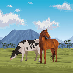 horse and cow