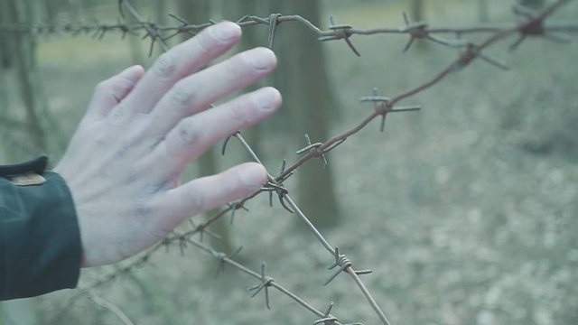 A man's hand touches a barbed wire fence. Concept illegal migration. An Arab who wants to emigrate to Europe. Camp for expats.