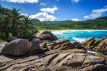 Granite Rocks,palms,wild paradise tropical beach,police bay, seychelles 10