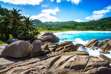 rocks at wild tropical beach with palms,white sand and turquoise water, seychelles 4