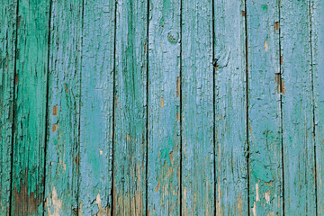 Obraz premium green wood texture from wide dry boards green background from old wood