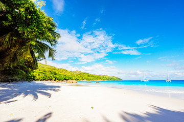Paradise beach.White sand,turquoise water,palm trees at tropical beach,seychelles 47
