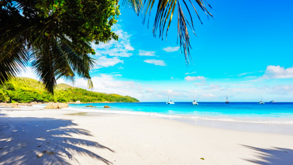 Fototapeta na wymiar Paradise beach.White sand,turquoise water,palm trees at tropical beach,seychelles 30
