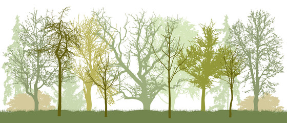 Park (bare trees) in spring silhouette. Vector illustration. - obrazy, fototapety, plakaty