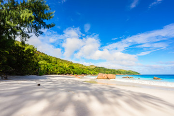 Fototapeta premium Paradise beach.White sand,turquoise water,palm trees at tropical beach,seychelles 34